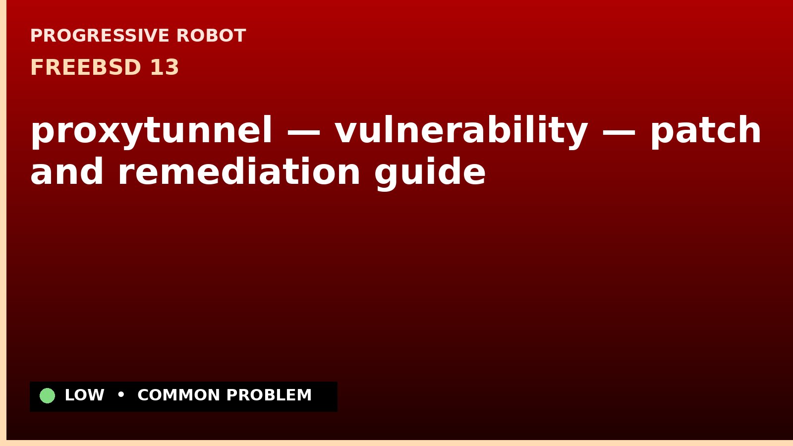 FreeBSD 13 — proxytunnel — vulnerability — patch and remediation guide — diagnosis and fix on FreeBSD 13