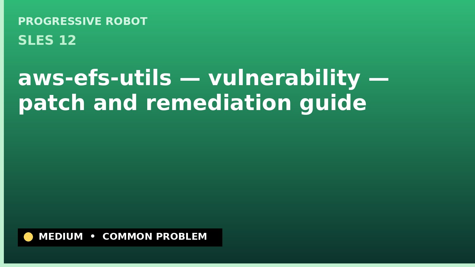 SLES 12 — aws-efs-utils — vulnerability — patch and remediation guide — diagnosis and fix on SLES 12