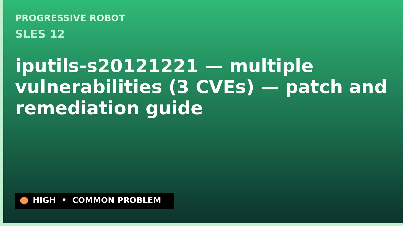 SLES 12 — iputils-s20121221 — multiple vulnerabilities (3 CVEs) — patch and remediation guide
