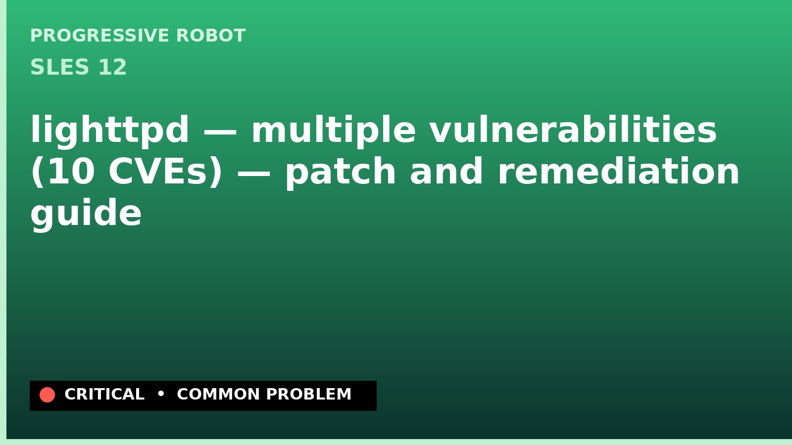 SLES 12 — lighttpd — multiple vulnerabilities (10 CVEs) — patch and remediation guide — diagnosis and fix on SLES 12