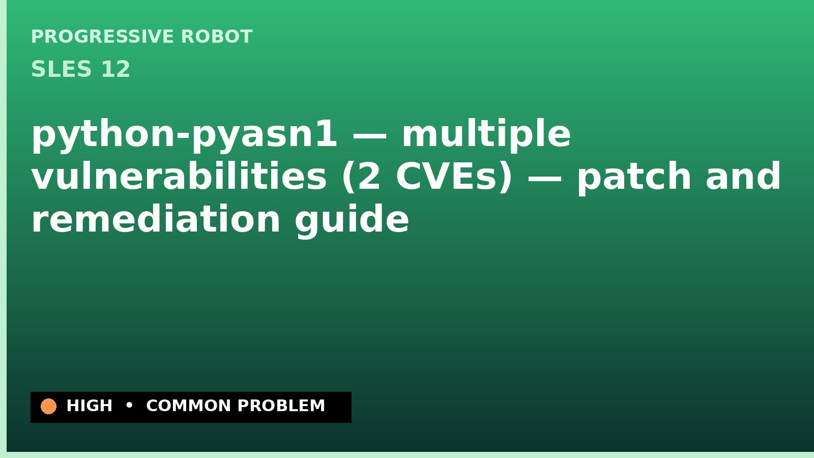 SLES 12 — python-pyasn1 — multiple vulnerabilities (2 CVEs) — patch and remediation guide — diagnosis and fix on SLES 12