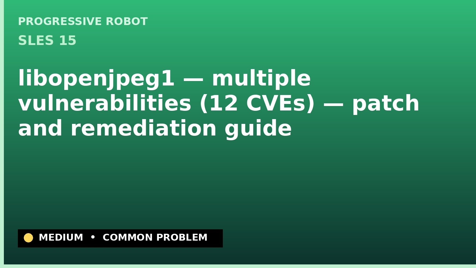 SLES 15 — libopenjpeg1 — multiple vulnerabilities (12 CVEs) — patch and remediation guide — diagnosis and fix on SLES 15