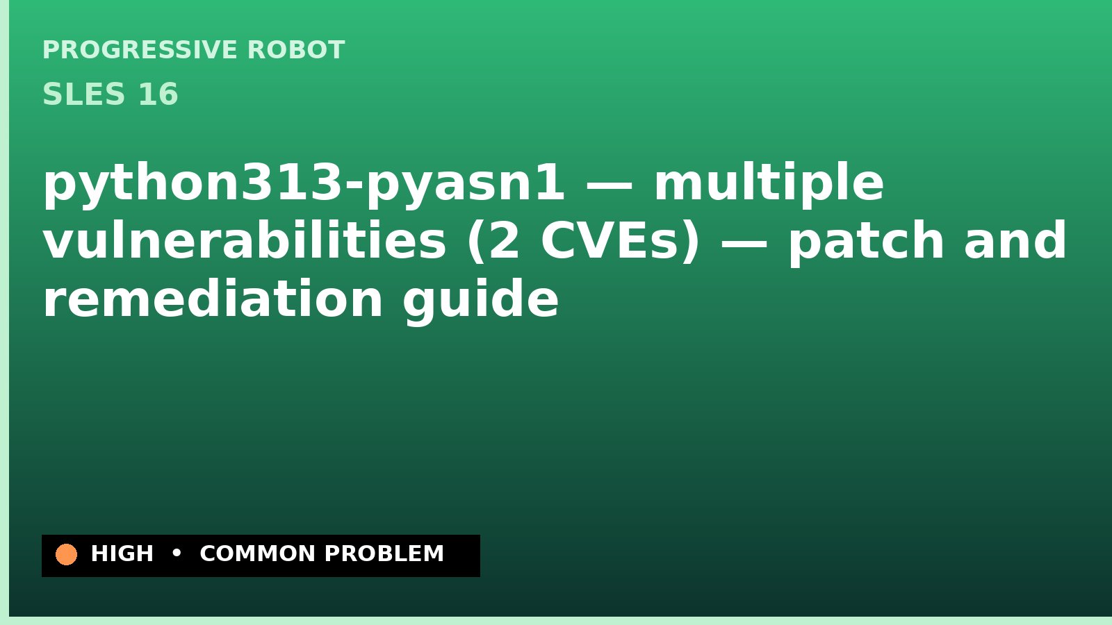 SLES 16 — python313-pyasn1 — multiple vulnerabilities (2 CVEs) — patch and remediation guide — diagnosis and fix on SLES 16